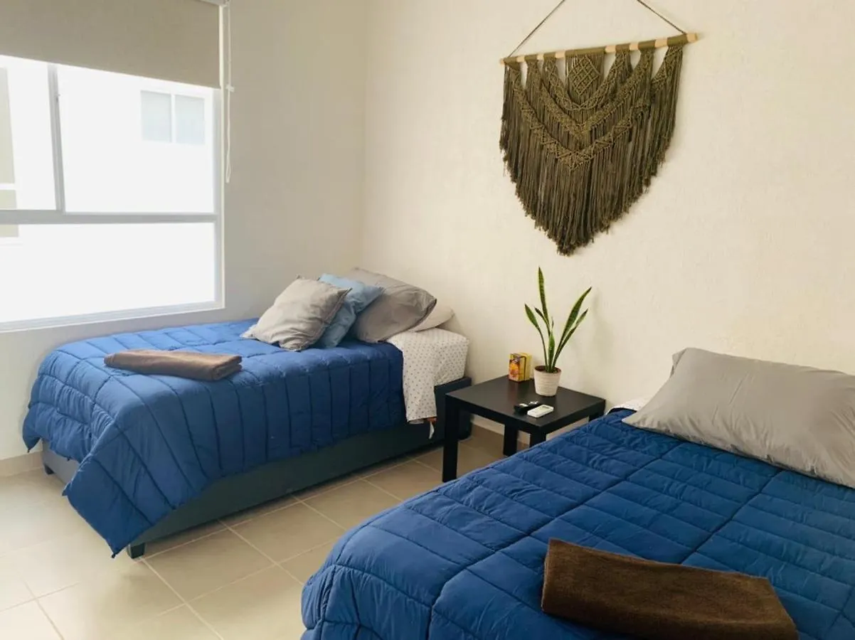 Franks House Apartment 